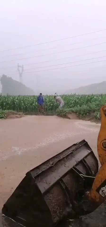 博農(nóng)乳業(yè)黨支部 黨員防汛搶險(xiǎn)沖鋒在一線